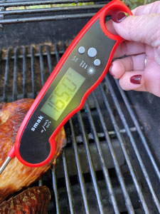 Turkey: How to Properly Take the Internal Temperature with a Meat  Thermometer 